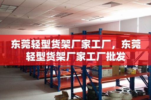 东莞轻型货架厂家工厂，东莞轻型货架厂家工厂批发