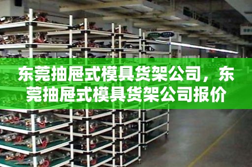 东莞抽屉式模具货架公司，东莞抽屉式模具货架公司报价